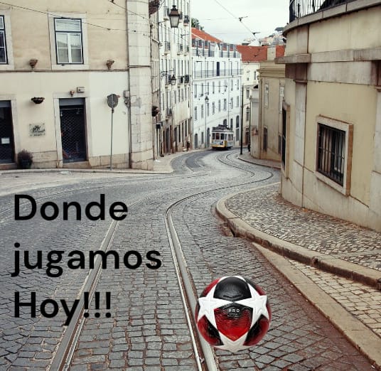 PELOTAS N° 4 FUTSAL PREMIUM 380gr CHAMPIONS LEAGUE