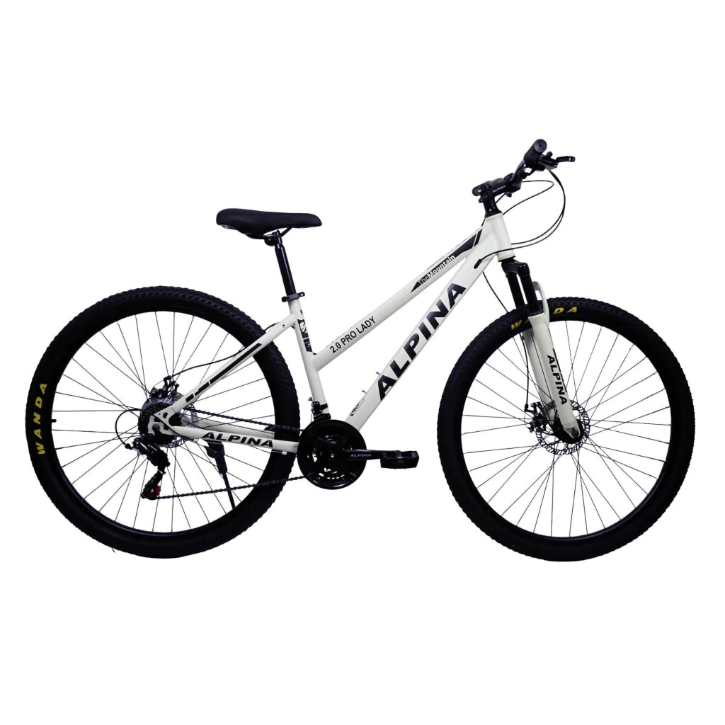 Bicicleta Alpina 2.0 Pro Acero Mtb R29 21v Shimano C/susp
